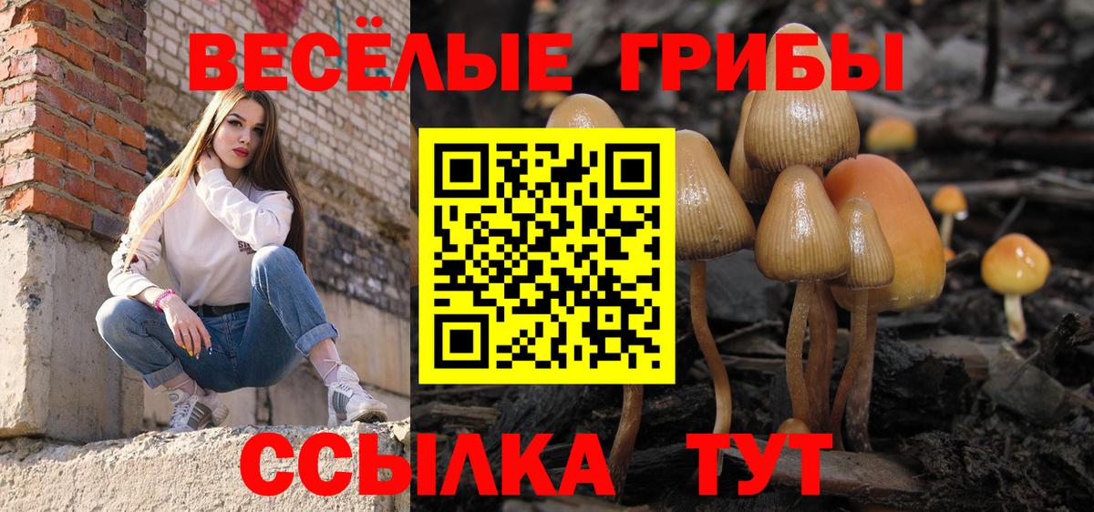Псилоцибиновые грибы Cubensis Нововоронеж